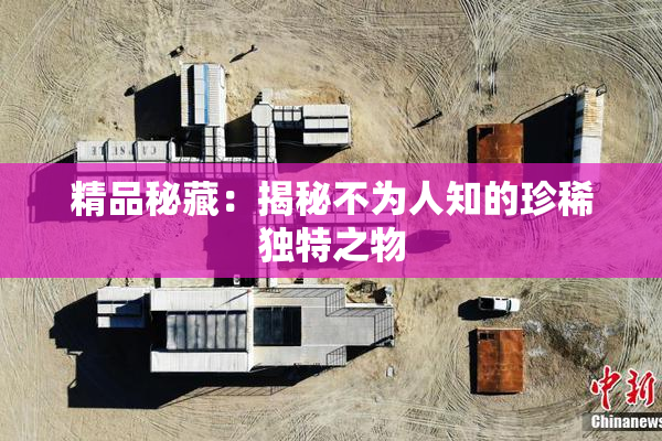 精品秘藏：揭秘不为人知的珍稀独特之物