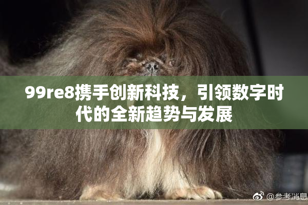 99re8携手创新科技，引领数字时代的全新趋势与发展