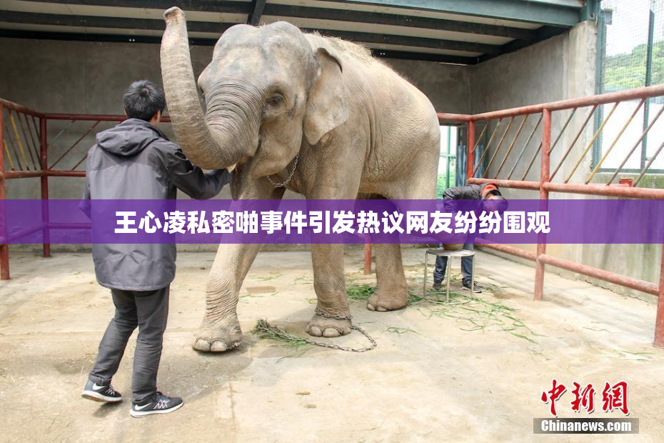 王心凌私密啪事件引发热议网友纷纷围观
