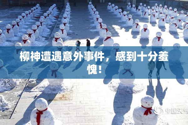 柳神遭遇意外事件，感到十分羞愧！