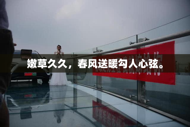 嫩草久久，春风送暖勾人心弦。