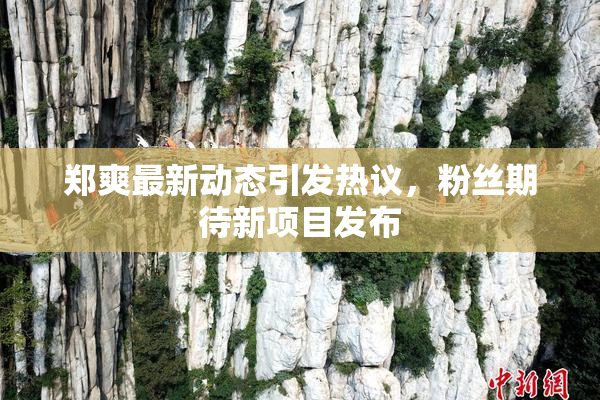 郑爽最新动态引发热议，粉丝期待新项目发布