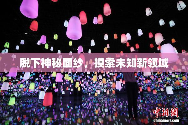 脱下神秘面纱，摸索未知新领域