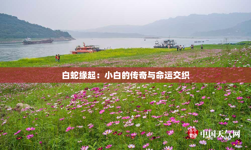 白蛇缘起：小白的传奇与命运交织