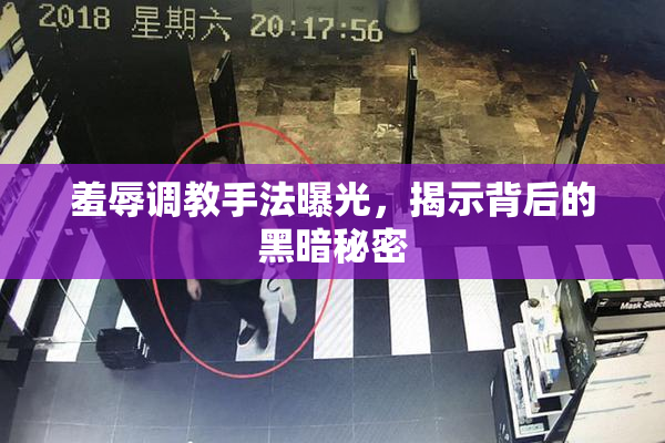 羞辱调教手法曝光，揭示背后的黑暗秘密