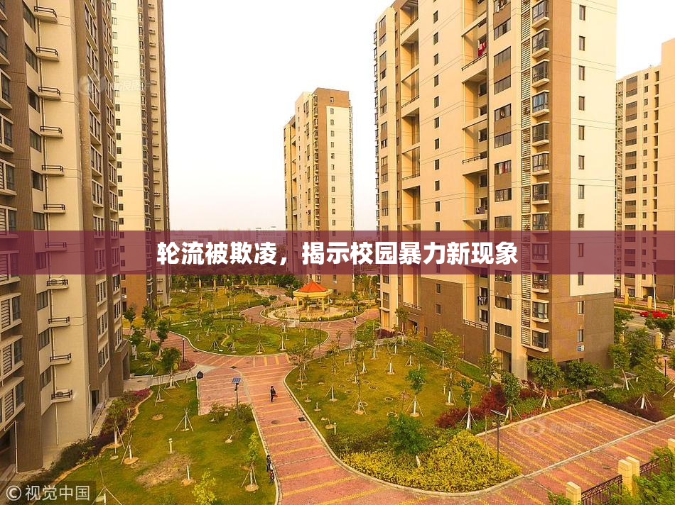 轮流被欺凌，揭示校园暴力新现象