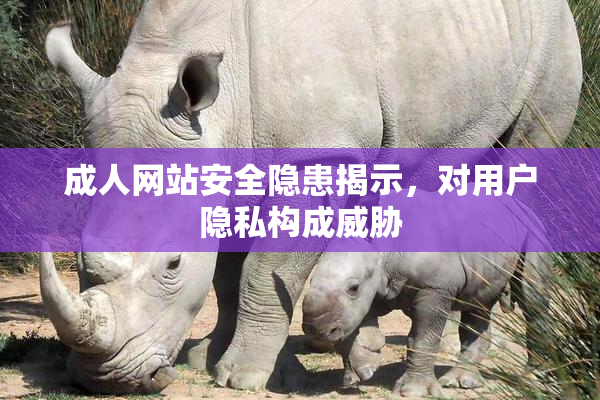 成人网站安全隐患揭示，对用户隐私构成威胁