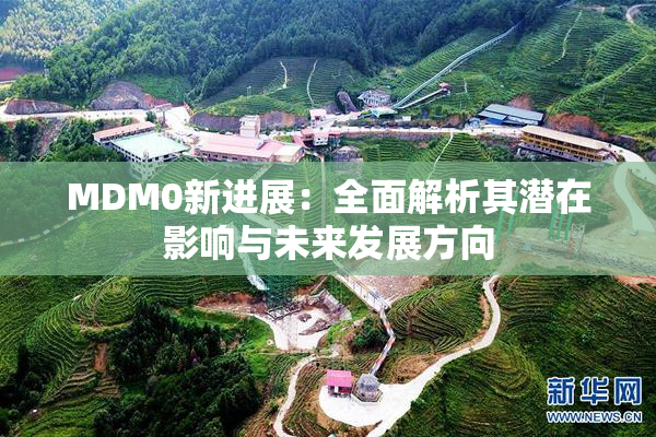 MDM0新进展：全面解析其潜在影响与未来发展方向
