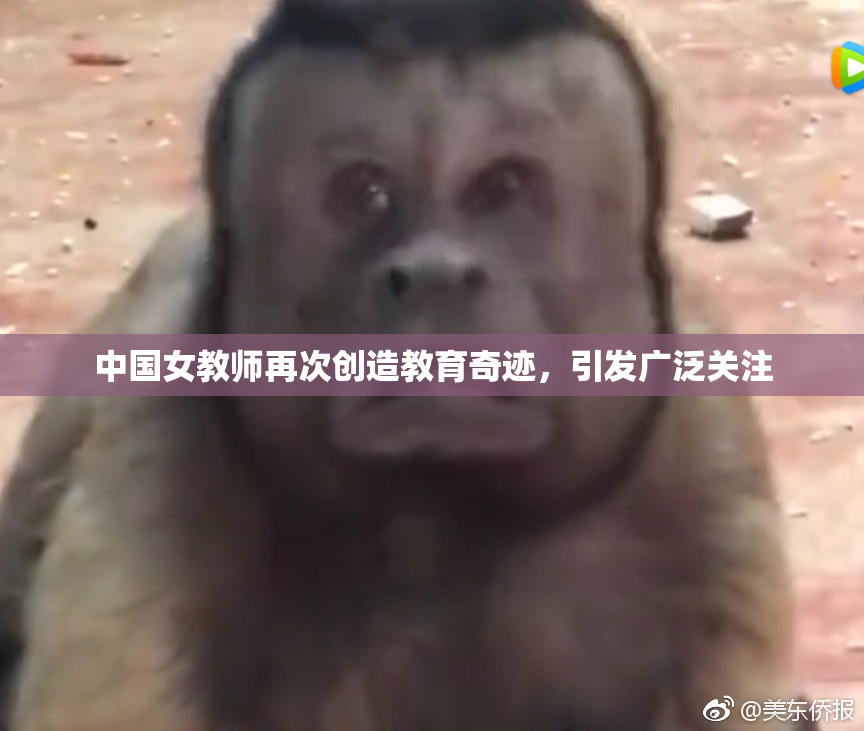 中国女教师再次创造教育奇迹，引发广泛关注