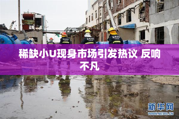 稀缺小U现身市场引发热议 反响不凡