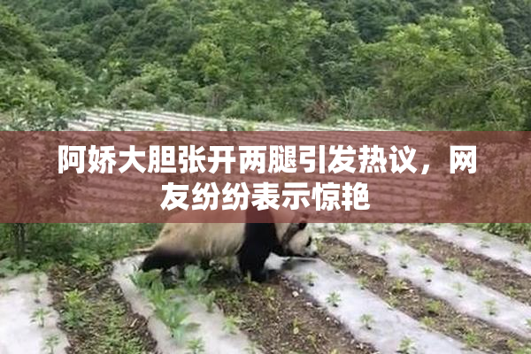阿娇大胆张开两腿引发热议，网友纷纷表示惊艳