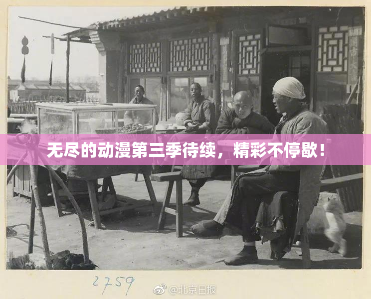 无尽的动漫第三季待续，精彩不停歇！