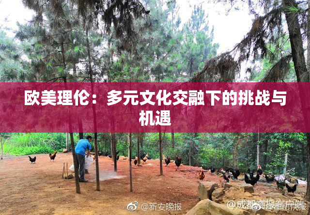 欧美理伦：多元文化交融下的挑战与机遇