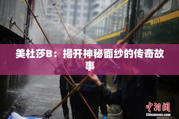 美杜莎B：揭开神秘面纱的传奇故事