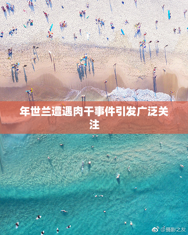 年世兰遭遇肉干事件引发广泛关注