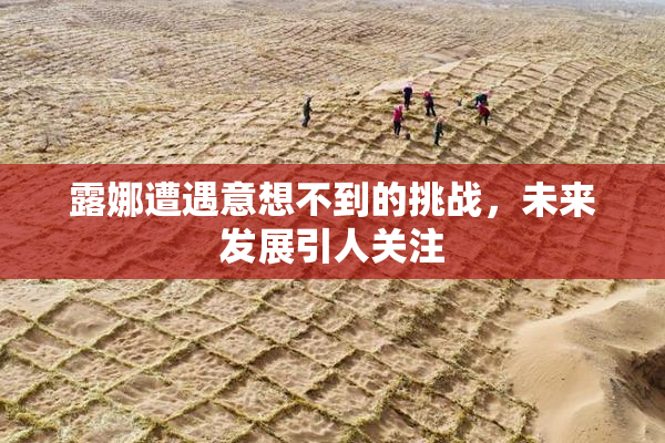 露娜遭遇意想不到的挑战，未来发展引人关注