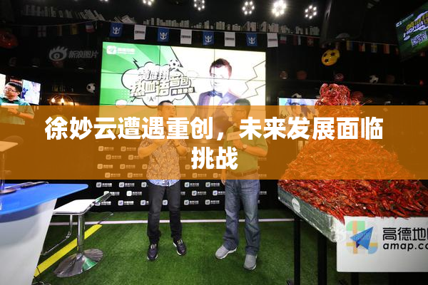 徐妙云遭遇重创，未来发展面临挑战