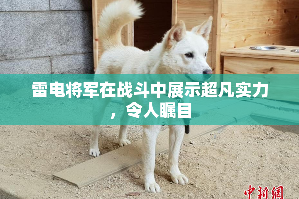 雷电将军在战斗中展示超凡实力，令人瞩目