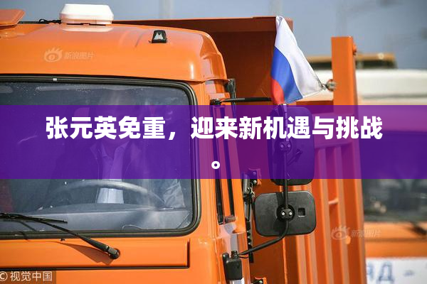 张元英免重，迎来新机遇与挑战。