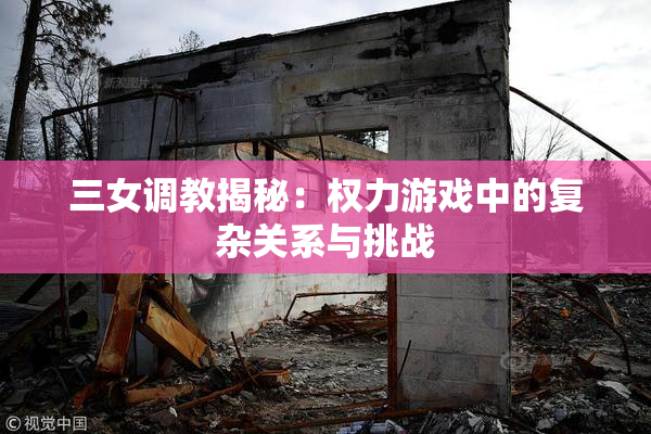 三女调教揭秘：权力游戏中的复杂关系与挑战