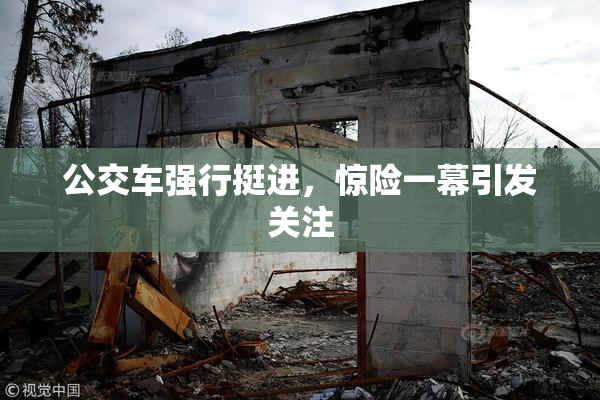 公交车强行挺进，惊险一幕引发关注