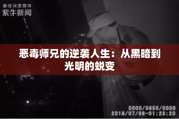 恶毒师兄的逆袭人生：从黑暗到光明的蜕变