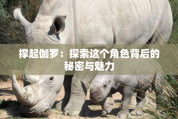 撑起伽罗：探索这个角色背后的秘密与魅力