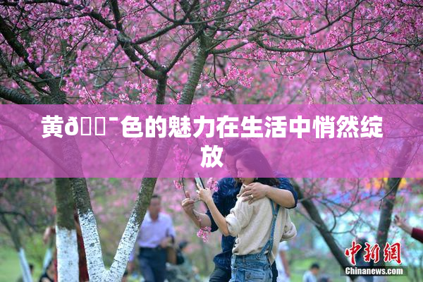 黄🔯色的魅力在生活中悄然绽放