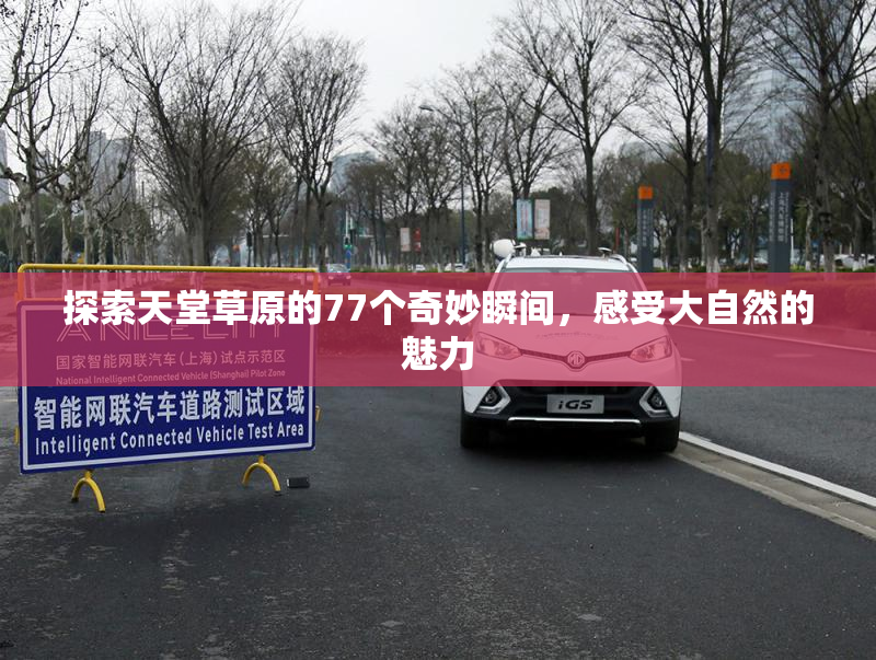 探索天堂草原的77个奇妙瞬间，感受大自然的魅力