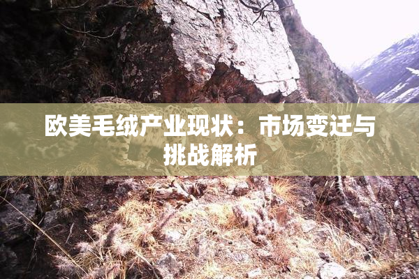 欧美毛绒产业现状：市场变迁与挑战解析