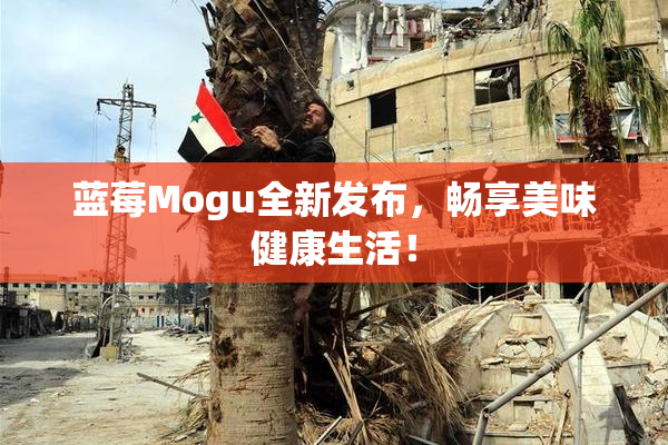 蓝莓Mogu全新发布，畅享美味健康生活！