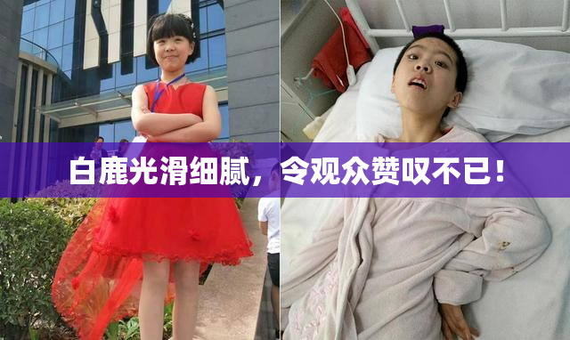 白鹿光滑细腻，令观众赞叹不已！