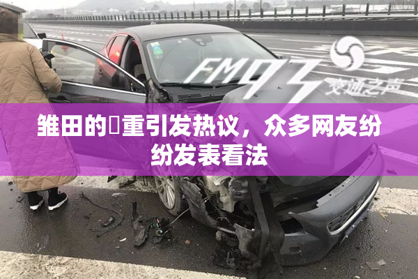 雏田的婬重引发热议，众多网友纷纷发表看法