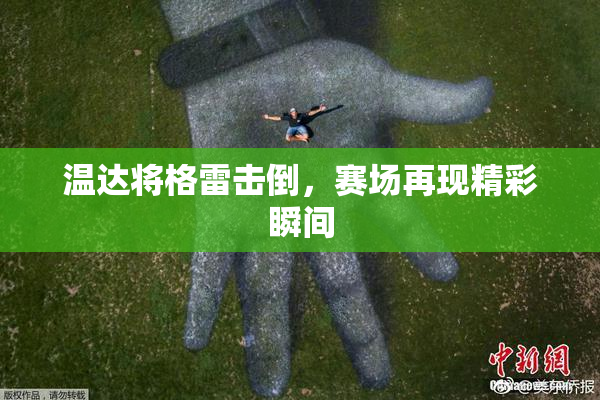 温达将格雷击倒，赛场再现精彩瞬间