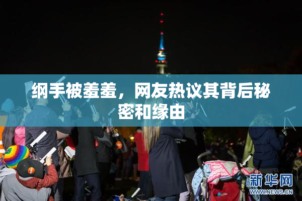 纲手被羞羞，网友热议其背后秘密和缘由