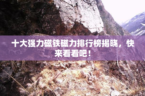 十大强力磁铁磁力排行榜揭晓，快来看看吧！