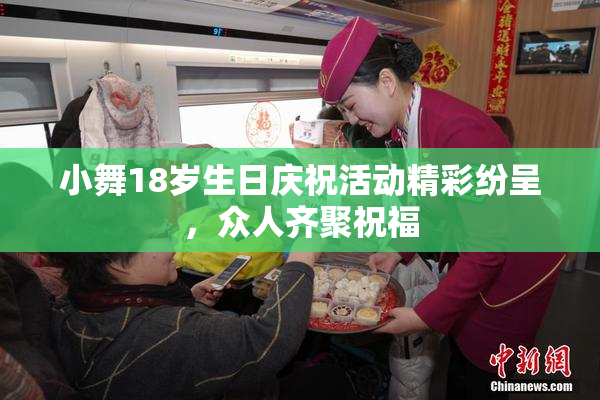 小舞18岁生日庆祝活动精彩纷呈，众人齐聚祝福