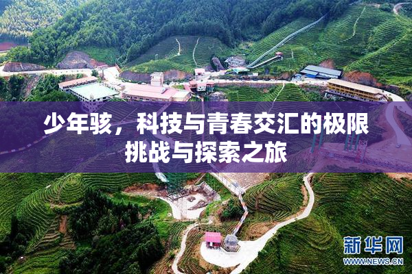 少年骇，科技与青春交汇的极限挑战与探索之旅