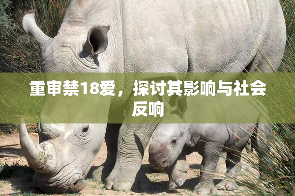 重审禁18爱，探讨其影响与社会反响