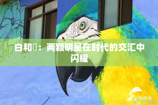 白和晄：两颗明星在时代的交汇中闪耀