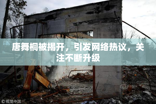 唐舞桐被揭开，引发网络热议，关注不断升级