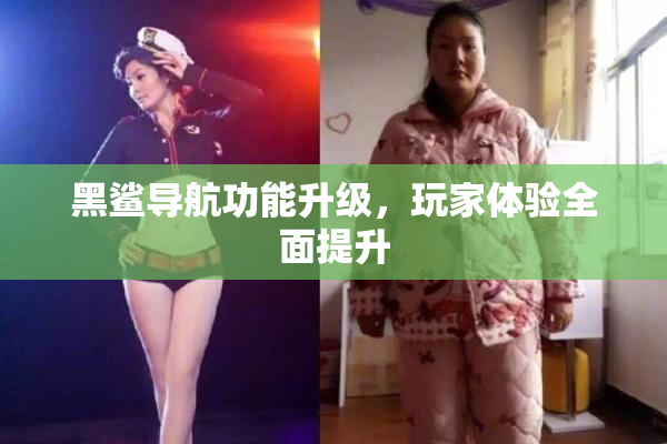 黑鲨导航功能升级，玩家体验全面提升