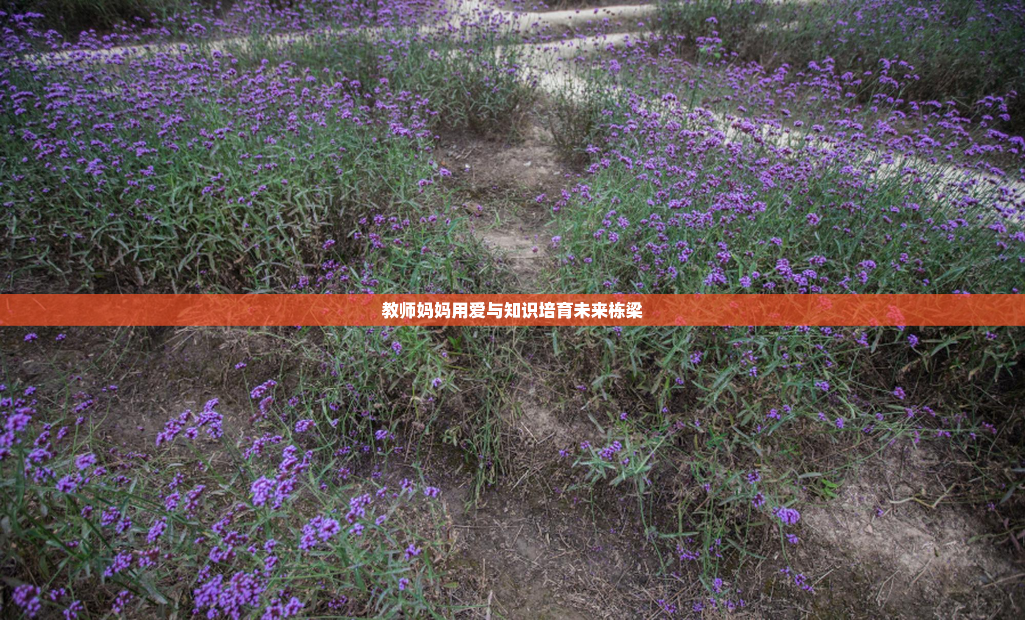 教师妈妈用爱与知识培育未来栋梁