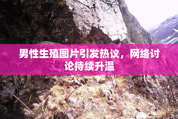 男性生殖图片引发热议，网络讨论持续升温