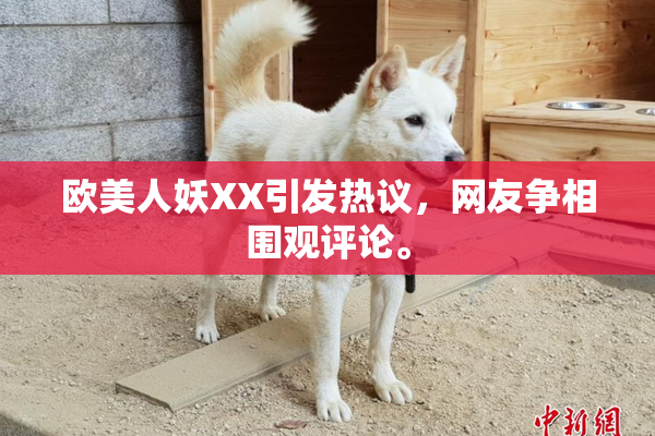 欧美人妖XX引发热议，网友争相围观评论。