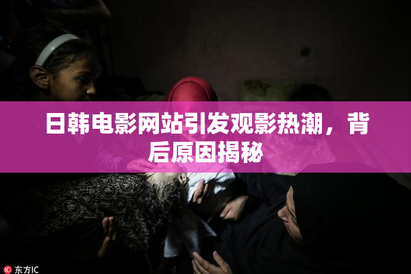 日韩电影网站引发观影热潮，背后原因揭秘