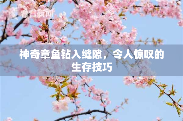 神奇章鱼钻入缝隙，令人惊叹的生存技巧