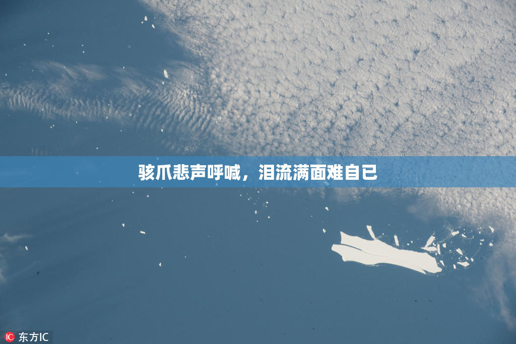 骇爪悲声呼喊，泪流满面难自已