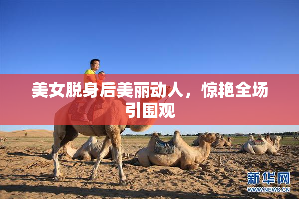 美女脱身后美丽动人，惊艳全场引围观