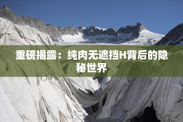 重磅揭露：纯肉无遮挡H背后的隐秘世界